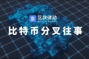 哪个是比特币的第一分叉币?，比特币分叉比怎么免费送