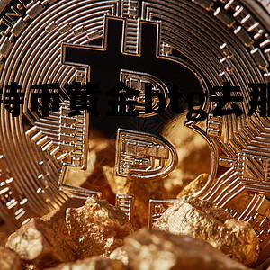 btcchina交易平台，比特币黄金btg去那买