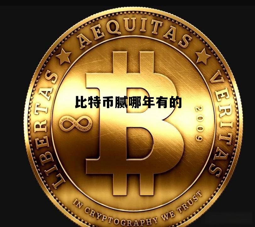 比特币是哪一年开始涨的，比特币腻哪年有的